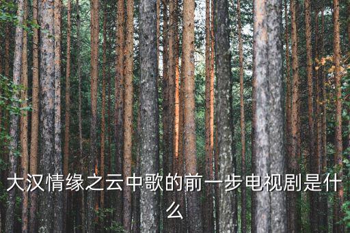 大漢情緣之云中歌的前一步電視劇是什么