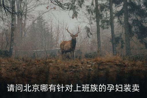 請問北京哪有針對上班族的孕婦裝賣