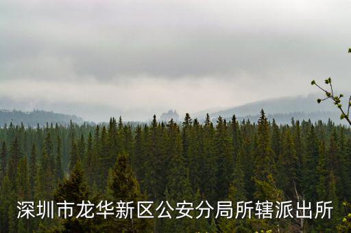 龍華派出所，龍華站到龍華派出所多少公里 怎么坐車