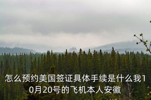 怎么預約美國簽證具體手續是什么我10月20號的飛機本人安徽