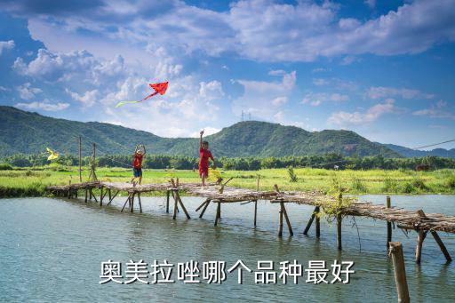 奧美拉唑哪個品種最好