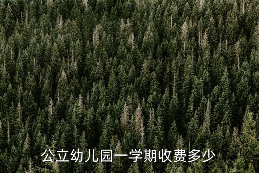 公立幼兒園一學期收費多少