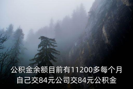 公積金余額目前有11200多每個月自己交84元公司交84元公積金