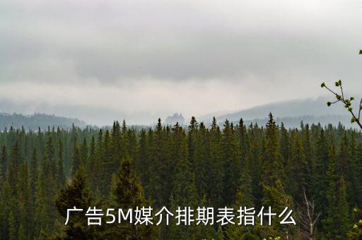 廣告5M媒介排期表指什么