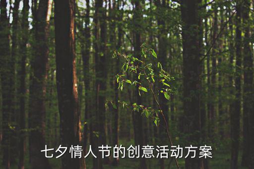 七夕情人節(jié)的創(chuàng)意活動(dòng)方案