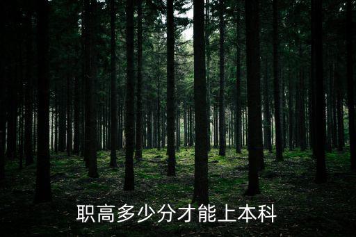 職高多少分才能上本科
