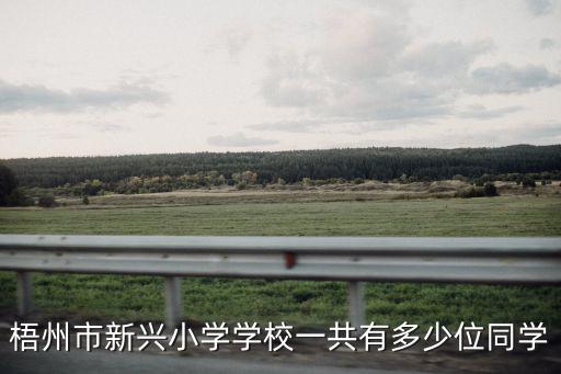 梧州市新興小學(xué)學(xué)校一共有多少位同學(xué)