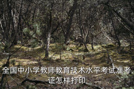 全國中小學教師教育技術水平考試準考證怎樣打印