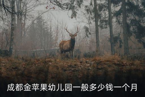 成都金蘋果幼兒園，成都金蘋果幼兒園一般多少錢一個月