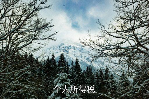 個人所得稅