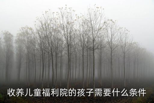 收養兒童福利院的孩子需要什么條件