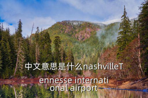 中文意思是什么nashvilleTennesse international airport