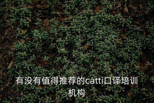 有沒有值得推薦的catti口譯培訓機構