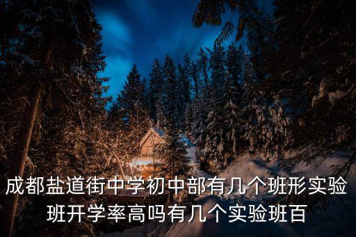 成都鹽道街中學(xué)初中部有幾個(gè)班形實(shí)驗(yàn)班開學(xué)率高嗎有幾個(gè)實(shí)驗(yàn)班百