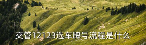 交管12123選車牌號流程是什么