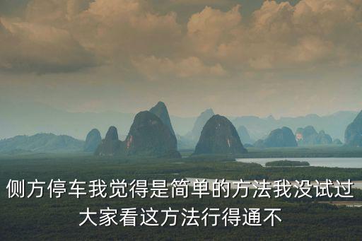 側方停車我覺得是簡單的方法我沒試過大家看這方法行得通不