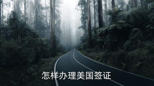 怎樣辦理美國簽證