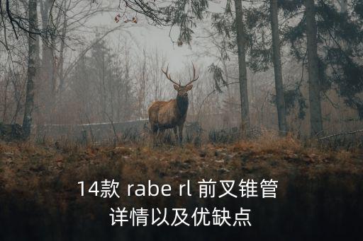 14款 rabe rl 前叉錐管 詳情以及優(yōu)缺點(diǎn)