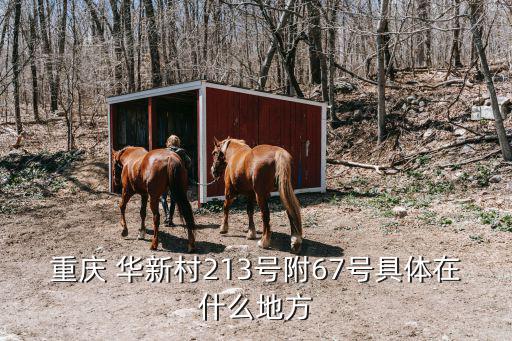 華新村，華新村的發展與壯大最重要的原因是什么