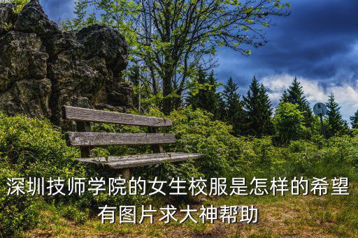 深圳技師學院的女生校服是怎樣的希望有圖片求大神幫助