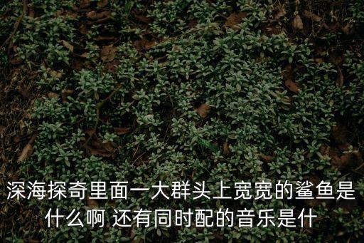 深海探奇里面一大群頭上寬寬的鯊魚是什么啊 還有同時配的音樂是什
