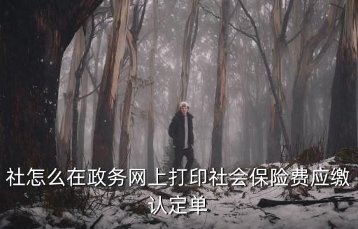 社怎么在政務網上打印社會保險費應繳認定單