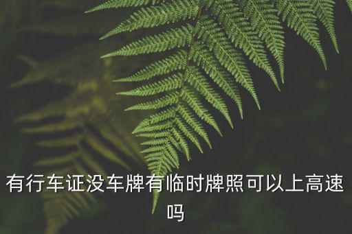 臨牌可以上高速嗎，有行車證沒車牌有臨時牌照可以上高速嗎