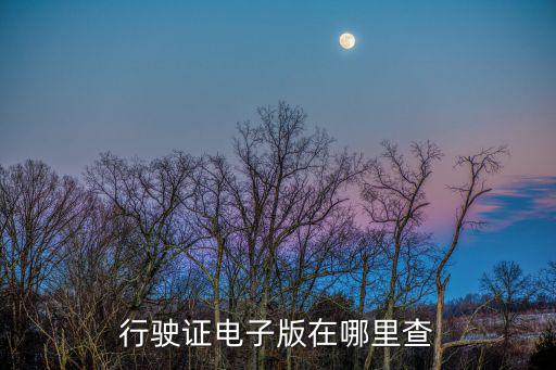 行駛證電子版在哪里查