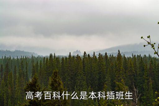 高考百科什么是本科插班生