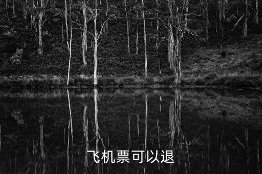 飛機票可以退