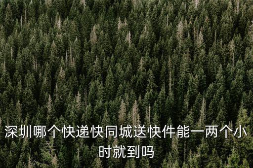深圳哪個快遞快同城送快件能一兩個小時就到嗎