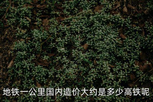 地鐵一公里國內(nèi)造價大約是多少高鐵呢