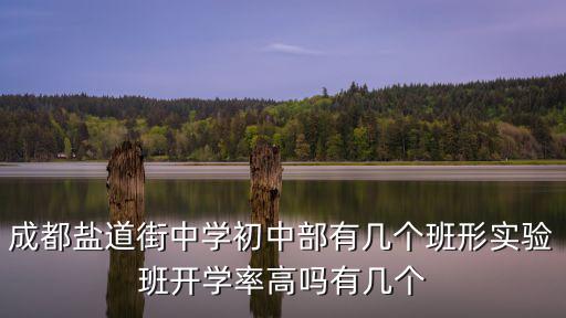成都鹽道街中學(xué)初中部有幾個(gè)班形實(shí)驗(yàn)班開學(xué)率高嗎有幾個(gè)