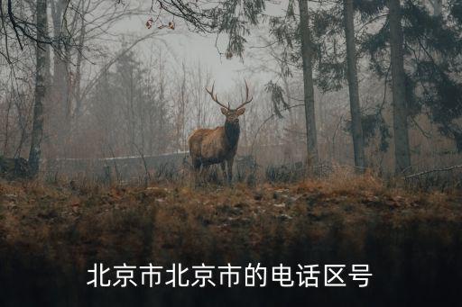 北京市北京市的電話區號