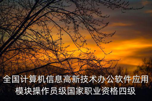 全國計算機信息高新技術辦公軟件應用模塊操作員級國家職業資格四級