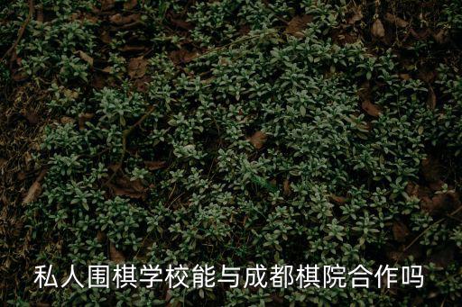 私人圍棋學校能與成都棋院合作嗎