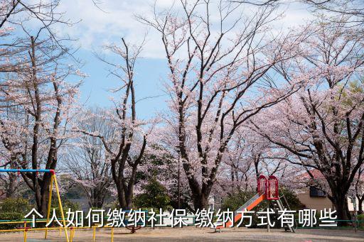 個人如何繳納社保 繳納方式有哪些