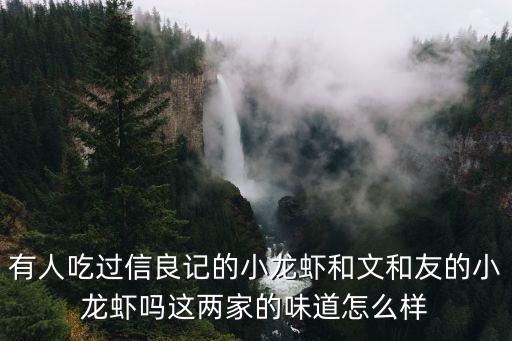 有人吃過信良記的小龍蝦和文和友的小龍蝦嗎這兩家的味道怎么樣