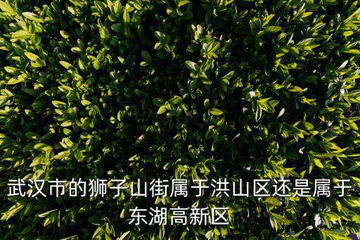 獅子山在哪里，武漢市的獅子山街屬于洪山區還是屬于東湖高新區