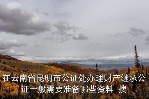 在云南省昆明市公證處辦理財產繼承公證一般需要準備哪些資料  搜