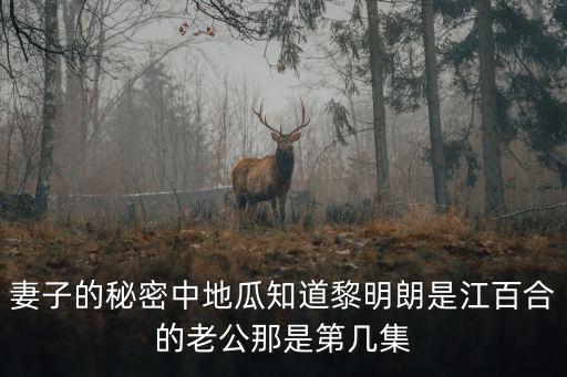 黎明朗，妻子的秘密中地瓜知道黎明朗是江百合的老公那是第幾集