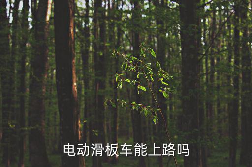 電動滑板車能上路嗎