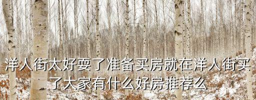洋人街太好耍了準備買房就在洋人街買了大家有什么好房推薦么