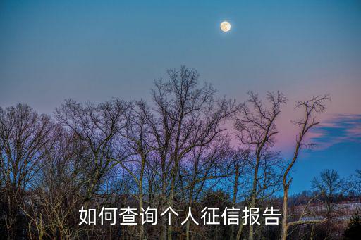 如何查詢個人征信報告