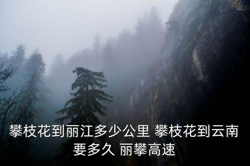 麗攀高速，麗攀高速華坪至永勝多少公里