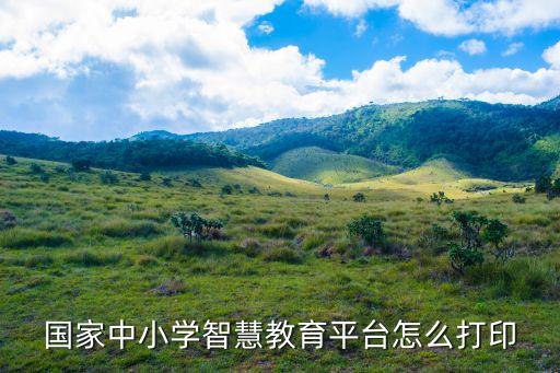 國家中小學智慧教育平臺怎么打印