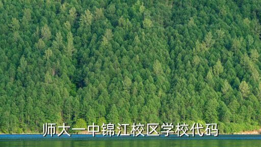 師大一中錦江校區學校代碼