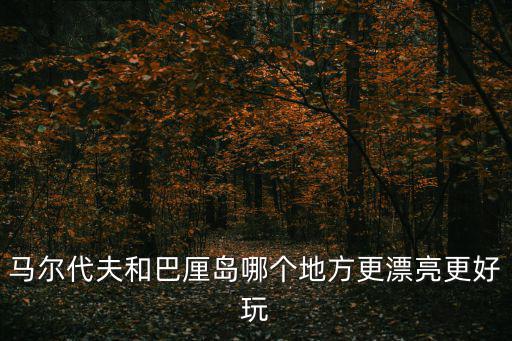 馬爾代夫和巴厘島哪個地方更漂亮更好玩