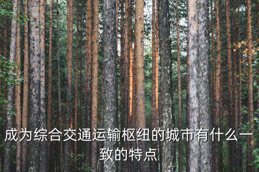 成為綜合交通運輸樞紐的城市有什么一致的特點