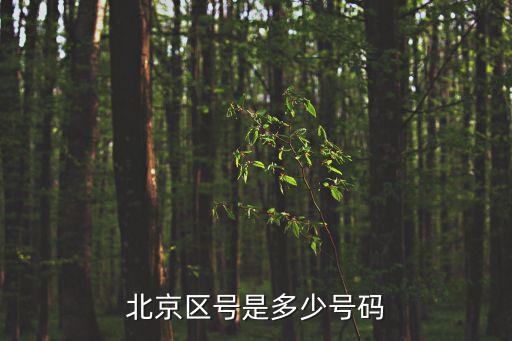 北京區號是多少號碼